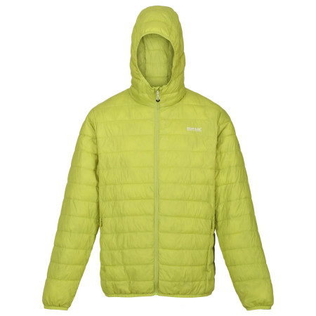 Мъжко зимно яке Regatta Hooded Hillpack тъмно зелен Green Algae