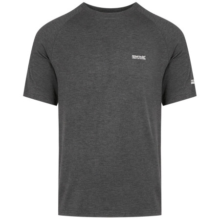 Мъжка тениска Regatta Ambulo II сив