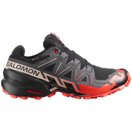 Мъжки обувки за бягане Salomon Speedcross 6 Gore-Tex