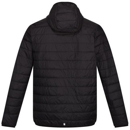 Мъжко зимно яке Regatta Hooded Hillpack