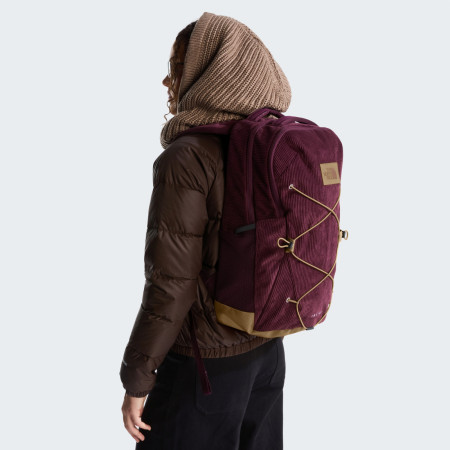 Раница The North Face Jester Pro