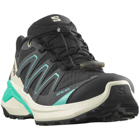Дамски туристически обувки Salomon Examotion Gore-Tex