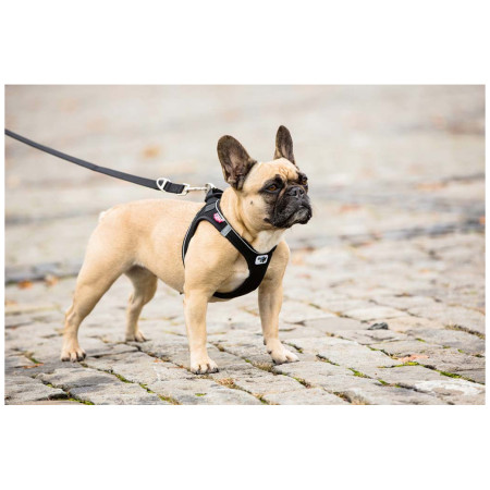 Повод за куче Curli Adjustable Leash Nylon