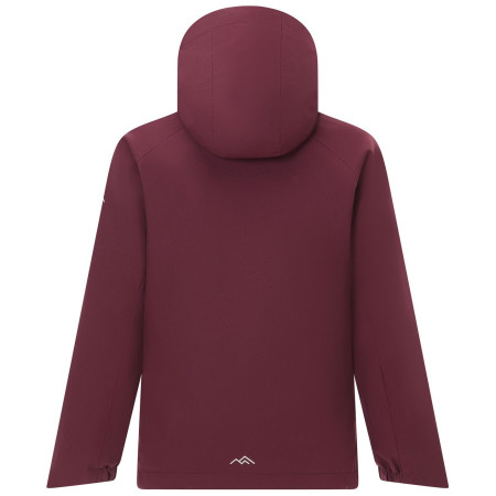 Зимно яке за момичета Regatta Girls Trekktain 3-in-1 II FigPowLilac