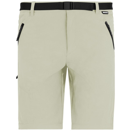 Мъжки панталони Regatta Xert Stretch Z/O Trousers
