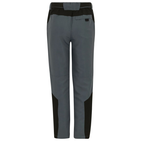Детски панталони Regatta Sorcer Mountain Trousers VII Dark Storm