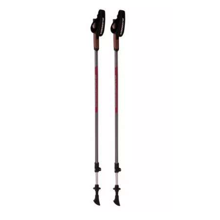 Щеки за скандинавско ходене Blizzard Alu Performance nordic walking poles