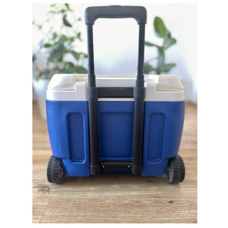 Хладилна кутия Pinnacle Prudence 30L