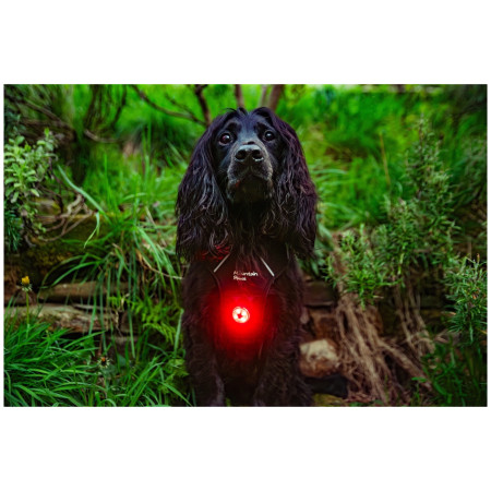 Светлина за куче Mountain Paws Dog safety light 2-Pack