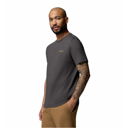 Мъжка тениска Columbia Parsons Point™ SS Back Graphic Tee