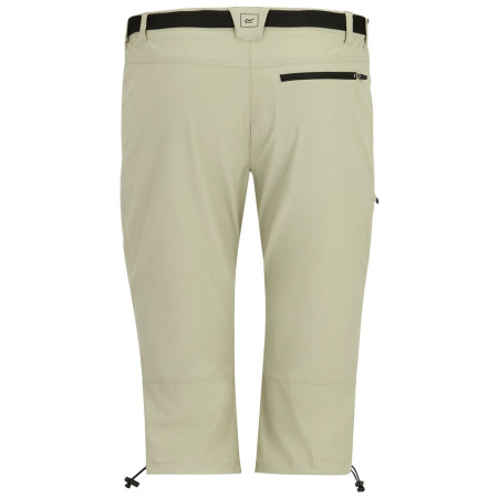 Мъжки 3/4 панталони Regatta Xert Stretch Capri