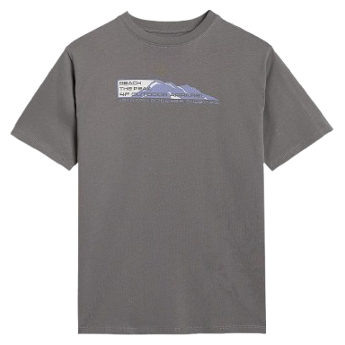 Детска тениска 4F Tshirt M2409 сив MIDDLE GREY