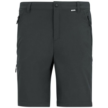 Мъжки панталони Regatta Anti-Insect Travel Light Z/O Trousers