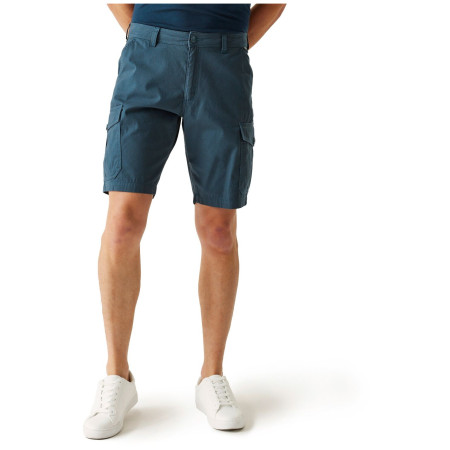 Мъжки къси панталони Regatta Ruwan Shorts