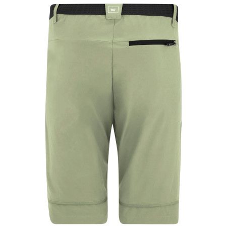 Мъжки панталони Regatta Mountain Z/O Trousers