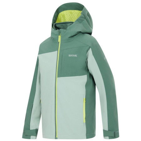 Детско яке Regatta Boys Trekktain 3-in-1 II DrkForGlac
