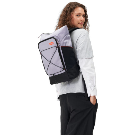 Раница Aevor Day Pack FLX Proof