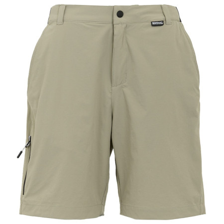 Мъжки къси панталони Regatta Travel Light Packaway Shorts