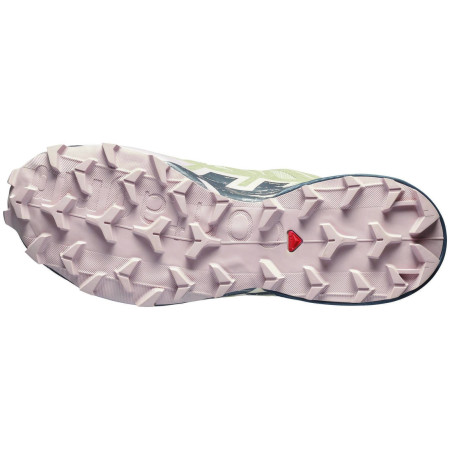 Дамски обувки Salomon Speedcross 6 Gore-Tex