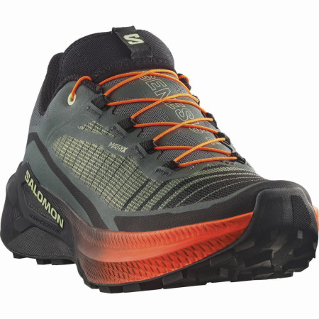 Мъжки обувки за бягане Salomon Genesis 2