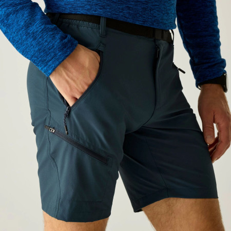 Мъжки къси панталони Regatta Xert Stretch Shorts