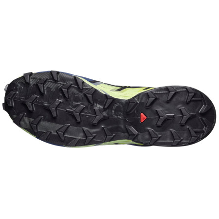 Мъжки обувки за бягане Salomon Speedcross 6