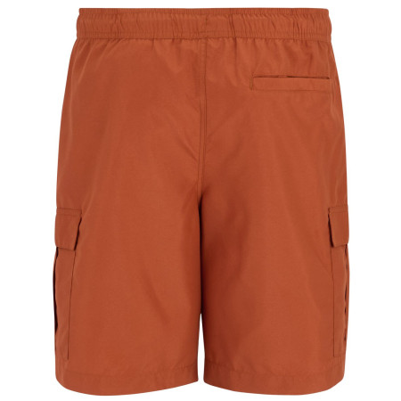Мъжки бански Regatta Blanmont Swim Short