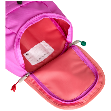 Детска раница The North Face Y Mini Explorer