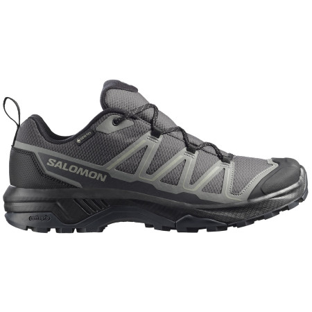 Мъжки трекинг обувки Salomon Exraise Gtx сив Asphalt / Sedona Sage / Black