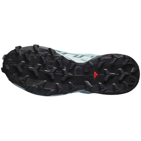 Дамски обувки Salomon Speedcross 6 Gore-Tex