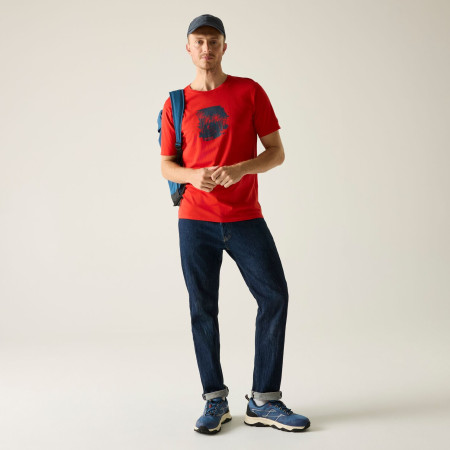 Мъжка тениска Regatta Cline IX