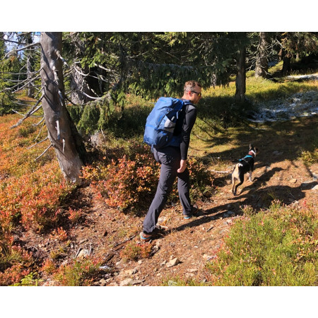 Раница Pinguin Vector 35