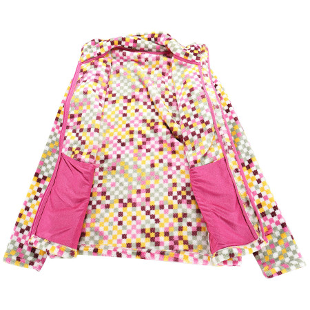 Дамски суитшърт Alpine Pro Eflina