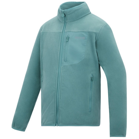Детски суитшърт Regatta Junior Frankie F/Z Ivy Moss