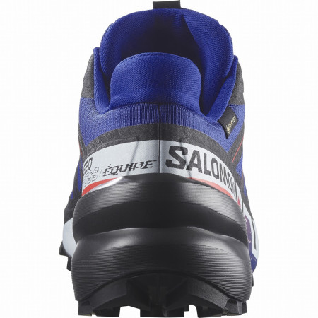 Мъжки обувки Salomon Speedcross 6 Gore-Tex Equipe