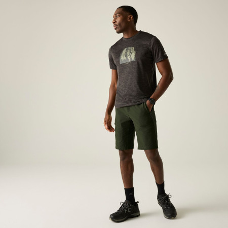 Мъжки къси панталони Regatta Highton Shorts Long II