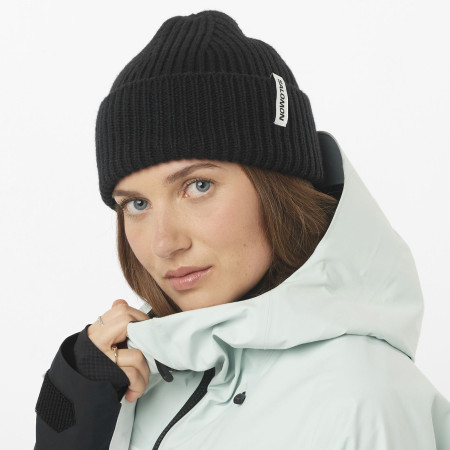 Шапка Salomon Snowbird Beanie U