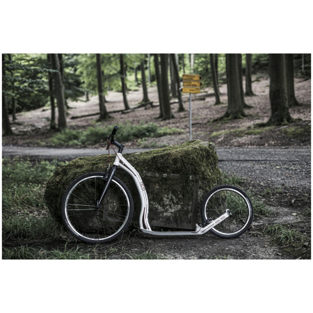 Тротинетка Yedoo Trexx