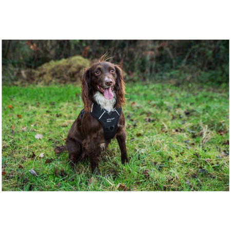 Нагръдник за куче Mountain Paws Dog Harness