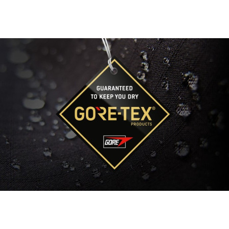 Мъжки обувки Salewa Ms Mtn Trainer Lite Gtx