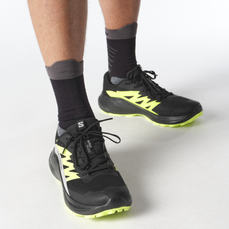 Мъжки обувки за бягане Salomon Alphaglide Gore-Tex