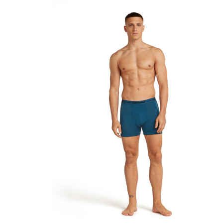 Мъжки боксерки Icebreaker Men Merino 150 Anatomica Boxers