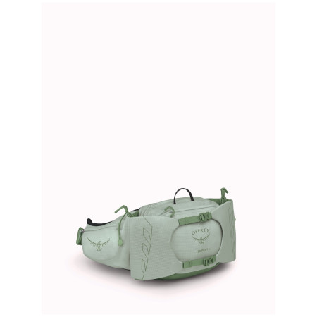 Чанта за кръста Osprey Tempest 6 зелен frosty mint green/botanica