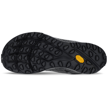 Мъжки обувки за бягане Altra Timp 6 GTX