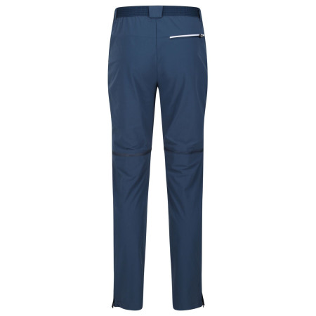 Мъжки панталони Regatta Mountain Z/O Trs