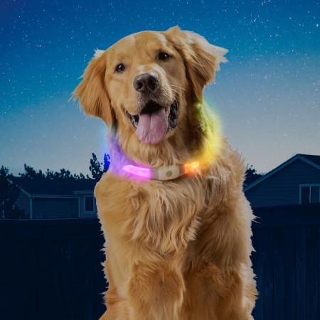 Светещ нашийник за куче Nite Ize NiteHowl Max LED