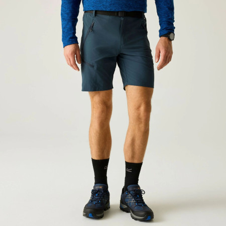 Мъжки къси панталони Regatta Xert Stretch Shorts