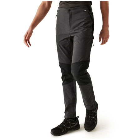 Мъжки панталони Regatta Questra V