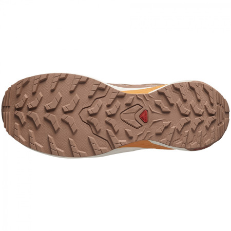 Дамски обувки за бягане Salomon X-Adventure Gore-Tex