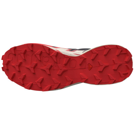 Мъжки обувки за бягане Salomon Speedcross 6